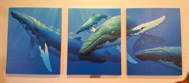 Kitchen Metal Magnets Series 2 - Bill McKim Photography -Jersey Shore whale  watch tours